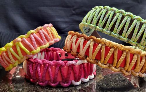 Biotane-Halsbänder für Hunde handgefertigt in diversen Farben und Grössen